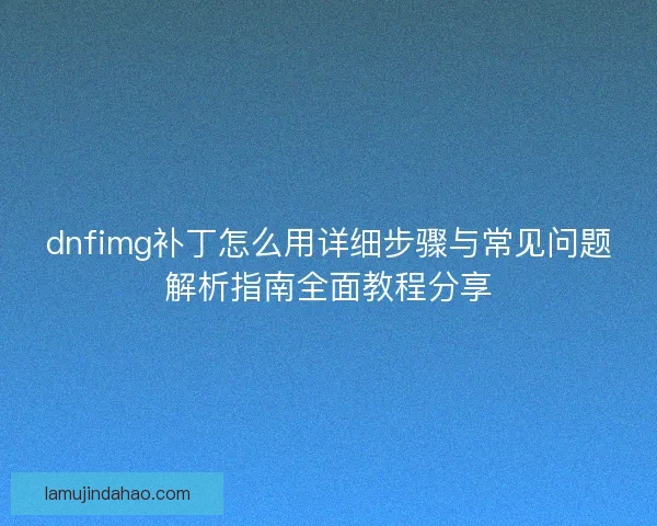 dnfimg补丁怎么用详细步骤与常见问题解析指南全面教程分享
