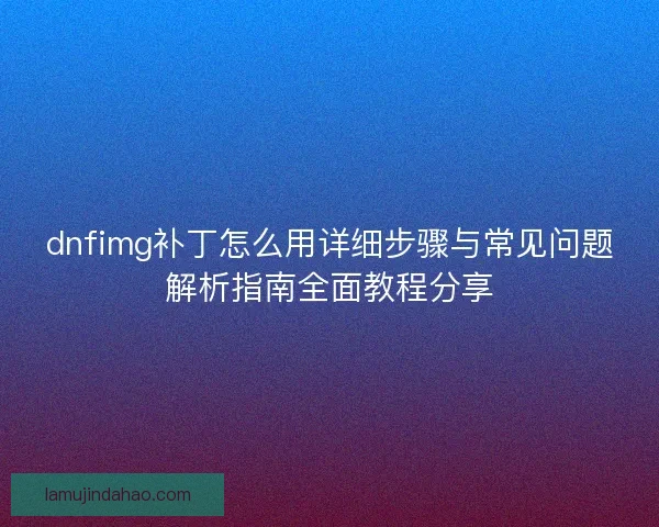 dnfimg补丁怎么用详细步骤与常见问题解析指南全面教程分享