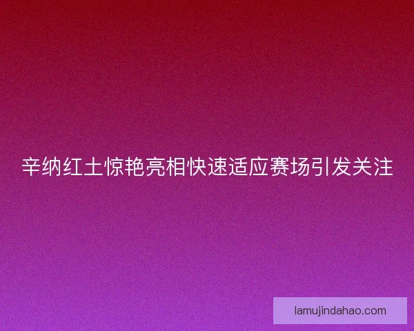 辛纳红土惊艳亮相快速适应赛场引发关注